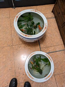 20230927_PXL192513694_Pixel7a-JEB